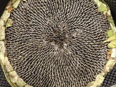 -盒马鲜生(馥邦国际店)