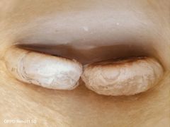 -老陆稿荐(西中市店)