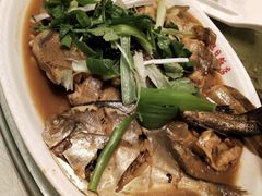 -大连湾旭日饭店(大连湾店)