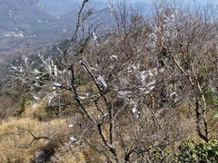 -洛阳白云山景区