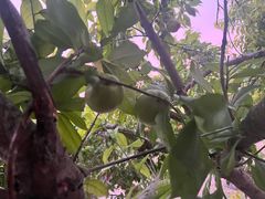 -小菜园新徽菜(连云港海州吾悦店)