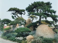-罗红摄影艺术馆