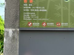 -中国大熊猫保护研究中心雅安碧峰峡基地