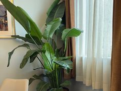 -席家花园(巨鹿花园店)