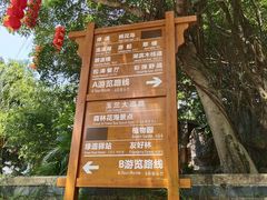 -广州市流溪河国家森林公园