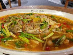 清蒸海鲈鱼-鸡毛店·川菜(双楠店)