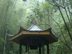 -蜀南竹海景区