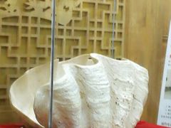 -青藤汗蒸时代会所