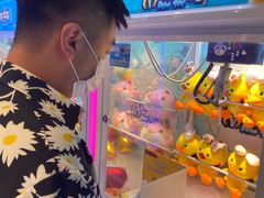 -PAWTOY爪e玩偶店(天兴罗斯福店)