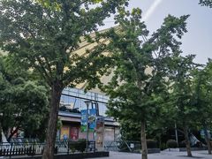 -中华艺术宫(上海美术馆)