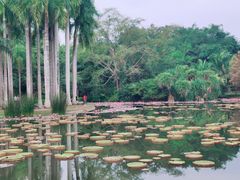 -中国科学院西双版纳热带植物园