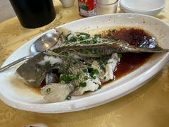 -阳江餐厅·30年老字号·粤菜海鲜大排档
