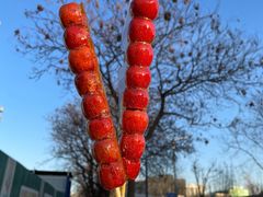 -和禄德冰糖葫芦