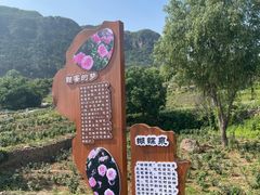 -密云玫瑰情园