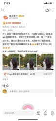 -17style壹柒造型