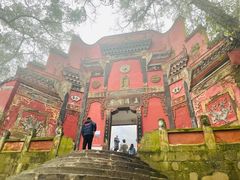-南山植物园
