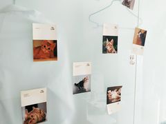 -狗舍宠物医院(四季商业广场店)