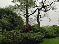 -晓港公园