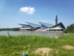 -盐城丹顶鹤湿地生态旅游区