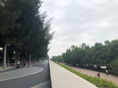 -宝安西湾红树林湿地公园