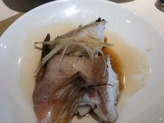 清蒸东星斑-利苑酒家(华熙国际店)
