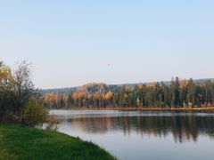 -五营红松林海景区