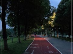 -艾溪湖湿地公园