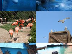 -大连老虎滩海洋公园