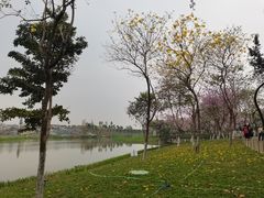 -海珠湖公园