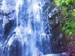 -阳台山森林公园