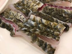 鱼皮-正能量脆肉鲩火锅