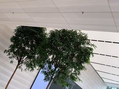 -Apple零售店(济南恒隆广场店)