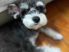 -FAELING PETS美天灵宠物(富力广场店)