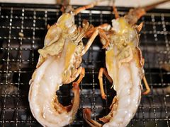 -白仁仔· 活烤海鲜 宵夜(豫园店)