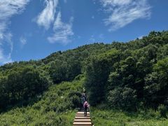 -白草畔自然风景区