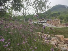 -南京市江宁方山