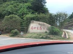 -马口生态公园