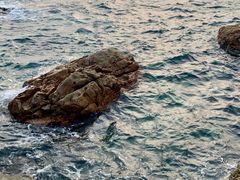 -西涌国际滨海旅游区