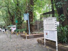 -深圳野生动物园