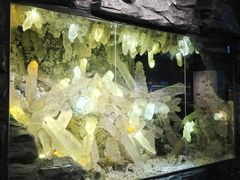 -湖南省地质博物馆