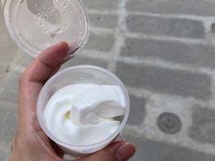 -洪馨椰子