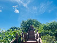 -大岭沟猕猴桃谷风景区