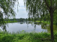 -野鸭湖国家湿地公园