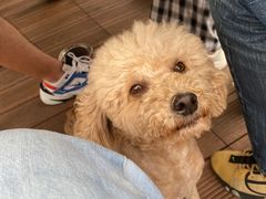 -叁山与肆客服号民宿(龙泉阳光城百工堰公园店)