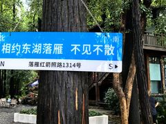 -东湖落雁景区