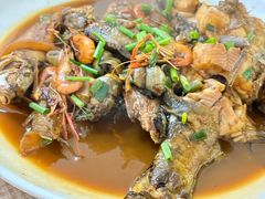 朋友鱼-阿东农家菜(新场古镇下塘街店)