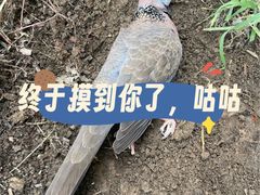 -东水关遗址公园