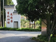 -上海长兴岛郊野公园