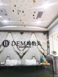 -DEM缔怡美科技美容