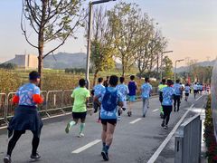 -光明小镇欢乐田园